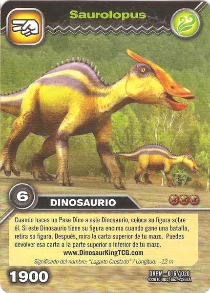 Cards 12 (card)