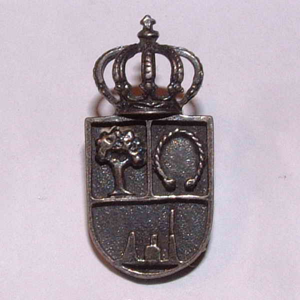 Pins 023 - Ayuntamiento de Cerceda (A Coruña)