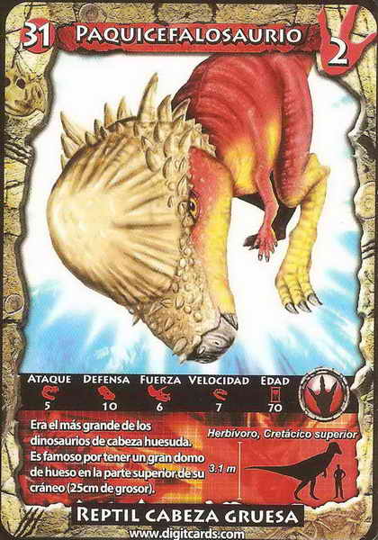 31 · Pachycephalosaurus (combat card)