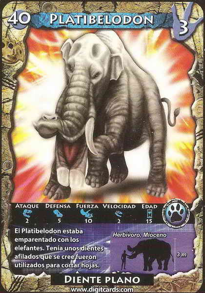 40 · Platybelodon (combat card)